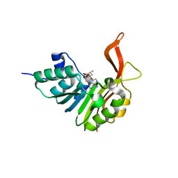 BU of 2xva by Molmil