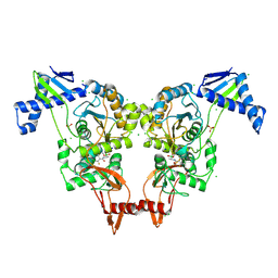 BU of 2y2l by Molmil