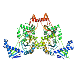 BU of 2y2q by Molmil