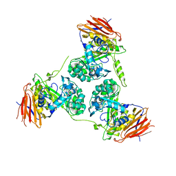 BU of 2y2w by Molmil