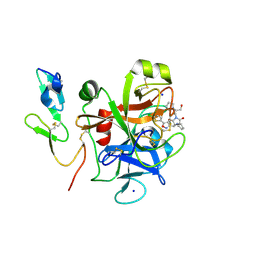 BU of 2y5f by Molmil