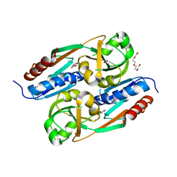 BU of 2y7w by Molmil