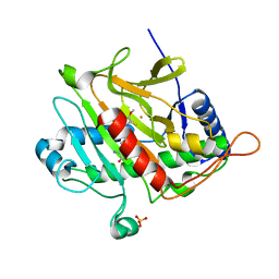 AU of 2y86 by Molmil