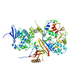 AU of 2y94 by Molmil