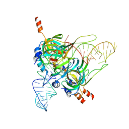 AU of 2y9a by Molmil