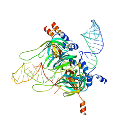 AU of 2y9b by Molmil