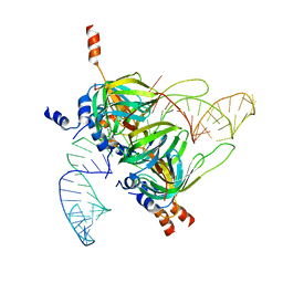 AU of 2y9d by Molmil