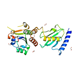 AU of 2y9o by Molmil