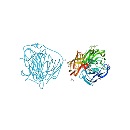 BU of 2yap by Molmil