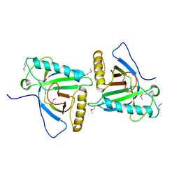 AU of 2yc9 by Molmil
