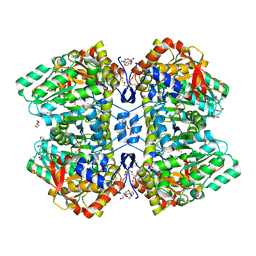 BU of 2ycp by Molmil