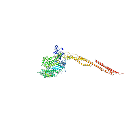 AU of 2ycu by Molmil