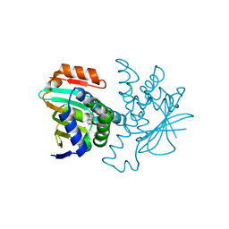 BU of 2yed by Molmil