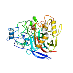 BU of 2yg1 by Molmil