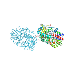 BU of 2yg5 by Molmil