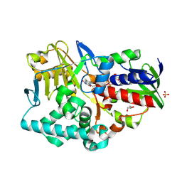 BU of 2yg6 by Molmil