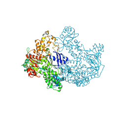 AU of 2ygr by Molmil