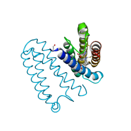 BU of 2yl1 by Molmil