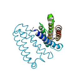 BU of 2yl1 by Molmil