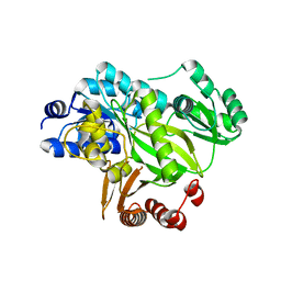 BU of 2yl2 by Molmil