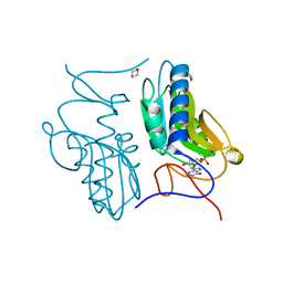 AU of 2ywt by Molmil