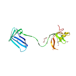 BU of 2z4i by Molmil