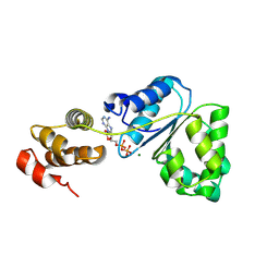 BU of 2z4s by Molmil