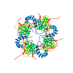 AU of 2z9e by Molmil