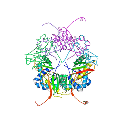 AU of 2z9f by Molmil
