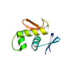 AU of 2z9m by Molmil