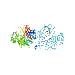 BU of 2zb5 by Molmil