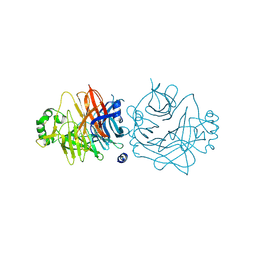 BU of 2zb6 by Molmil