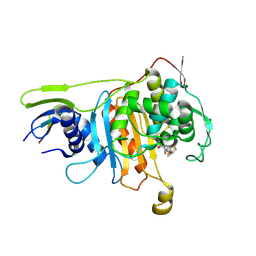 BU of 2zc6 by Molmil