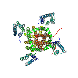 BU of 2zd9 by Molmil