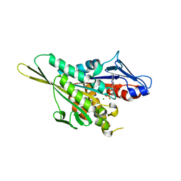 BU of 2zfi by Molmil