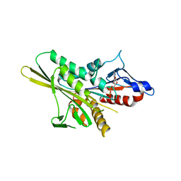 BU of 2zfj by Molmil