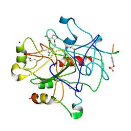 BU of 2zfp by Molmil