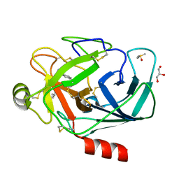 AU of 2zfs by Molmil