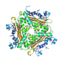 AU of 2zh0 by Molmil