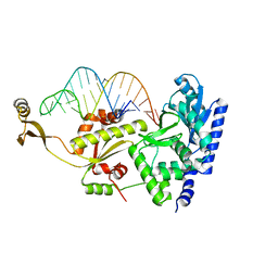 BU of 2zh1 by Molmil