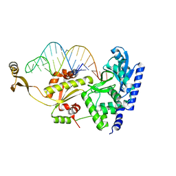 BU of 2zh5 by Molmil