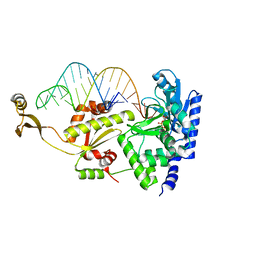 BU of 2zh6 by Molmil