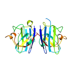 BU of 2zkw by Molmil