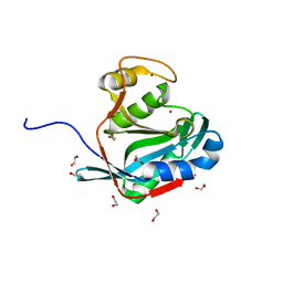 BU of 2znr by Molmil