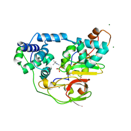 BU of 2zph by Molmil