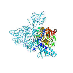 BU of 2zt5 by Molmil