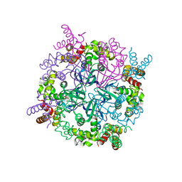 BU of 2ztc by Molmil