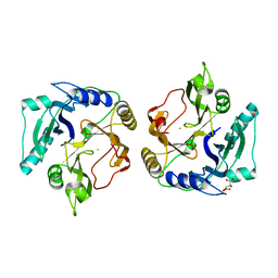 BU of 2zyq by Molmil