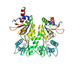 BU of 3a1c by Molmil