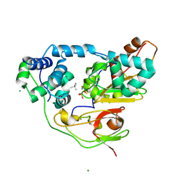 BU of 3a8g by Molmil